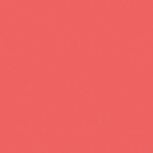 Nectarine Waterproof Gel Lipliner
